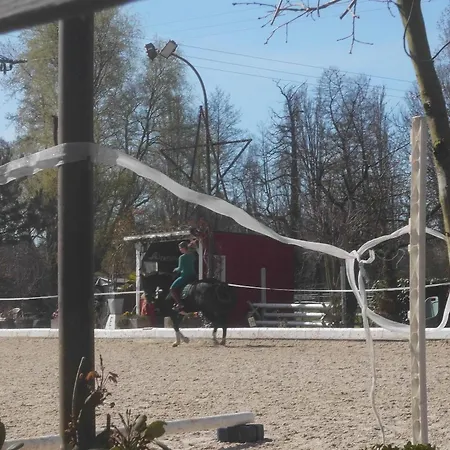 Pfalzklause Billigheim-Ingenheim